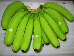 「香蕉栽培」的圖片搜尋結果