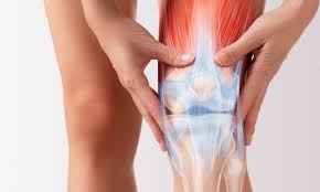 We did not find results for: Arthroscopic Knee Surgery Meniscectomy Proliance Orthopedic
