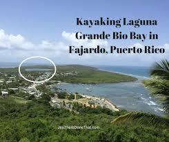Bioluminescent Beach Puerto Rico Fajardo Kayaking Laguna Grande Bio Bay In Fajardo Puerto Rico Bioluminescent Bay Puerto Rico Solo Travel Puerto Rico