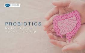 Signs Your Probiotics Are Working | Northlake Gastro, LA