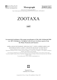 Copyright 2020 giacomo the jacket ©. Pdf An Annotated Catalogue Of The Pygmy Grasshoppers Of The Tribe Scelimenini Bolivar 1887 Orthoptera Tetrigidae With Two New Scelimena Species From The Malay Peninsula And Sumatra