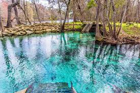 When florida state parks first started building large modern cabins in their parks, blue spring was home to some of the first, which we stayed in. 14 Best Springs In Florida Planetware