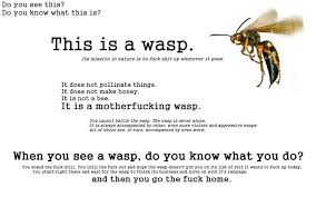 Lpt If A Bee Or Wasp Lands On You Blow On Them To Get Them Off Bee Wasp Just For Laughs
