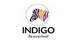 #indigopaintsipo #indigopaintsshare #indigopaints #sharemarket #investment #stockmarket #investing #sharemarketnews indigo paints ipo details | how to apply? Wno0u3lbyv3vrm