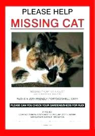 Lost cat poster template type of resume and sample, lost cat poster template. Pin On Nice Ideas