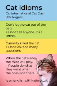 Cat Idioms In 2020 English Idioms Idioms Verbs Lessons