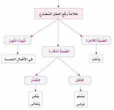 علامة رفع الفعل المضارع learning arabic learn arabic language arabic language
