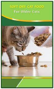 Soft Dry Cat Food For Older Cats Top 5 Soft Dry Cat Foods For Senior Cats Or Cats With Dental Issues Our Top Picks For T Dry Cat Food Cat