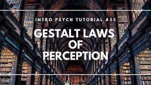 Image result for Perception Exam