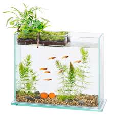 Aquarium unik murah banyak dicari pecinta ikan hias. 10 Contoh Desain Aquarium Mini Terbaik Estetis Dan Hemat Tempat Rumah123 Com
