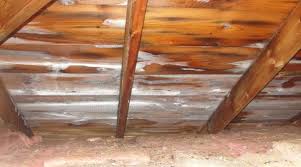 We would like to show you a description here but the site won't allow us. Frost In Attics What Causes Attic Ice How To Fix It Ecohome