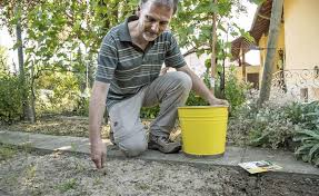 Die Unkrautentfernung Von Hand Ist Sehr Muhsam Und Nicht Gerade Ruckenschonend Unkraut Im Garten Unkraut Garten Pflanzen