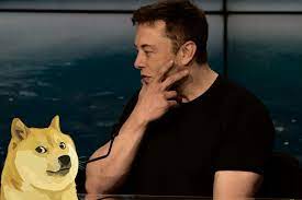 Mans Best Friend In 2021 Cryptocurrency Elon Musk Cryptocurrency News