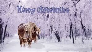 Select from premium christmas horse of the highest quality. Christmas Horse Pictures