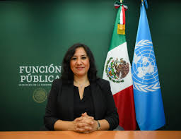 Secretaria de la función pública @sfp_mx. Irma Erendira Sandoval B Irma Sandoval Twitter