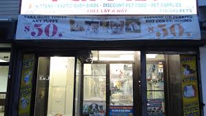 From puppies to seniors, we help dogs of all life stages put their best paw forward with positive dog training classes. Astoria Pets Pet Supply Store In Long Island City