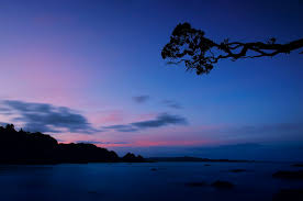 ada opara's favorites