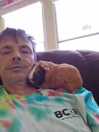 Cuddling cats in a cat tree