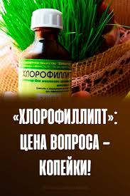 как очистить организм от шлаков и токсинов народными средствами Zdorove V 2020 G Zdorove Dieta Dlya Ploskogo Zhivota Tovary Dlya Zdorovya