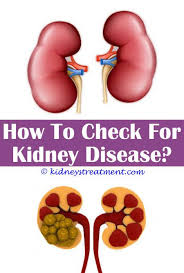 Kidney Stones Baking Soda Natural Remedies Kidney Disease Stages Kidney Dialysis Kidney Disease Symptoms