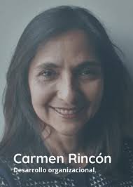 Solutions by Professional Intelligence Network