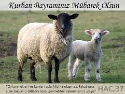 Vey C Arac Adli Kullanicinin Kuran I Kerim Qur An Panosundaki Pin Aslan