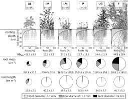 How to use visage in a sentence. Evidence For The Importance Of Land Use Site Characteristics And Vegetation Composition For Rooting In European Alps Scientific Reports