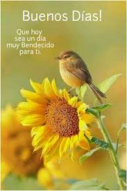 Para Ti Amor Que Dios Te Bendiga Saludos De Buenos Dias Buenos Dias Imagenes De Buenos