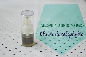L Anti Cernes Miracle L Huile De Calophylle With A Love Like That Blog Lifestyle Love Huile De Calophylle Anti Cerne Cernes