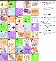 التجمع الخامس لاحلى وأجمل حوامل شهر مارس ابريل 2015 عالم حواء Ø§Ù„Ø´Ù‡Ø± Ø§Ù„Ø®Ø§Ù…Ø³ Ù…Ù† Ø§Ù„Ø­Ù…Ù„ ÙˆØ§Ù„Ø¬Ù…Ø§Ø¹ Ø¹Ø§Ù„Ù… Ø­ÙˆØ§Ø¡ Ø§Ø¹Ø±Ø§Ø¶ Ø§Ù„Ø§Ø³Ø¨ÙˆØ¹ Ø§Ù„Ø®Ø§Ù…Ø³ Ù…Ù† Ø§Ù„Ø­Ù…Ù„ Ø¹Ø§Ù„Ù… Ø­ÙˆØ§Ø¡ Ø§Ù„Ø§Ø¹Ù„Ø§Ù†Ø§Øª Ø§Ù„ØªØ¬Ø§Ø±ÙŠØ© Ø§Ø¹Ù„Ø§Ù† ØªØ¬Ø§Ø±ÙŠ Ù„Ù„ØµÙ Ø§Ù„Ø®Ø§Ù…Ø³ Kayu Mania