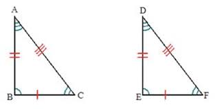 Triangles And Congruence Worksheets