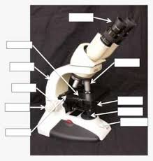 Use a landscape poster layout (large or small). Label The Microscope Diagram Robot Png Image Transparent Png Free Download On Seekpng