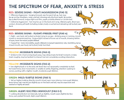 Fear Anxiety And Stress Spectrum