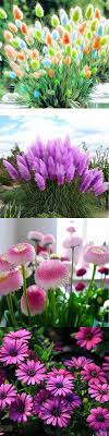 Whether you're sprucing up your flowerbeds or bringing the outdoors inside, you'll find the perfect choice right here at. I Want To Plant A Whole Garden For You Plants Beautiful Gardens Beautiful Flowers