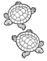 Schildkroten Ausmalbilder Schildkrote Ausmalen Malvorlagen Kinder Kostenlose Coloring Painting Ausmalbilder Ausmalbilder Schildkrote Ausmalen