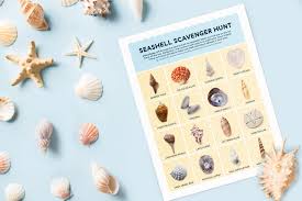 Bivalves are a group of aquatic animals with shells. Everything You Need To Know About Collecting Seashells Printable Seashell Scavenger Hunt Floridapanhandle Com
