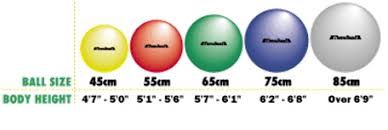 Thera Band Exercise Balls 45 55 65 75 Cm Pro Series