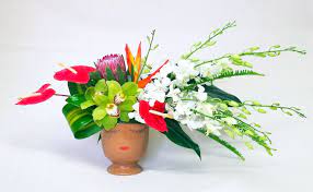 Pin On Tropical Arrangements