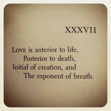 Emily Dickinson Dickinson Poems Emily Dickinson Quotes Emily Dickinson Poems