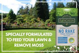Evergreen Premium Plus No Rake Moss Remover Lawn Food Single 20kg Bag 200m In Store Only 200m 20kg Bag Evergreen Food Lawn Food Lawn Lawn Maintenance