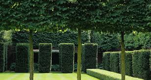 Luciano Giubbilei Garden Design The Boltons Landscape Design Estate Garden Landscape