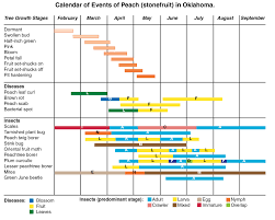 Home Tree Fruit Production And Pest Management Oklahoma State University