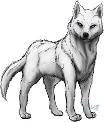 We did not find results for: Collection Of Free Wolf Transparent Black And White White Wolf Drawing Transparent Full Size Png Download Seekpng