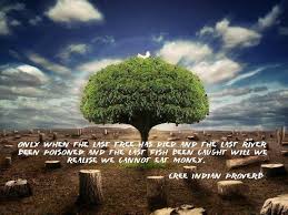 Only When The Last Tree Has Died And The Last River Been Poisoned And The Last Fish Been Caught Will We Realize We Can T Eat Money Cree I Native American Proverb
