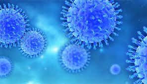 Computer viruses is the term that defines the class of programs which illegally explore resources of systems. The Other Deadly Virus