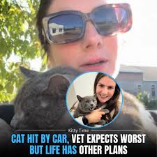 Fiona Begg, 28, from Ontario, spotted a cat hit by a car and immediately  rushed him to the vet, fearing the worst. The veterinarian warned that the  injuries were severe and that