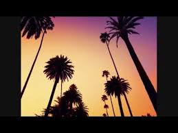 All The Leaves Are Brown And The Sky Is Grey I Ve Been For A Walk On A Winter S Day The Mamas The Papas California Dreamin Hq Audio Lyrics Tree Wall Murals Palm Tree Wallpaper Mural Palm Trees Wallpaper
