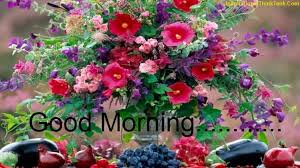 I ordered flowers from this local flower shop in winter haven fl online and got free delivery and a discount. Good Morning Wishes With Flowers Pictures Images Page 19