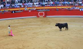 Image result for spanish bullfighting
