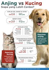 Check spelling or type a new query. Infografik Parameter Untuk Membandingkan Kecerdasan Anjing Dan Kucing Kumparan Com